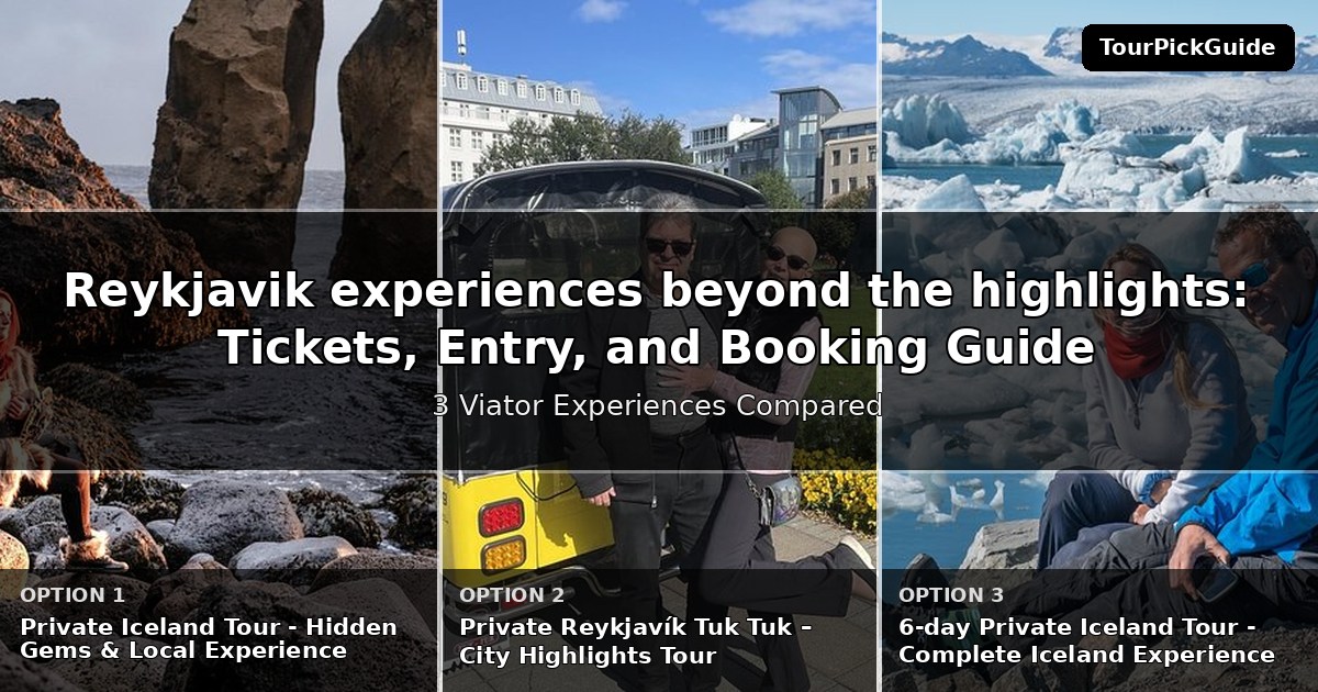 Reykjavik experiences beyond the highlights – three Viator experiences compared