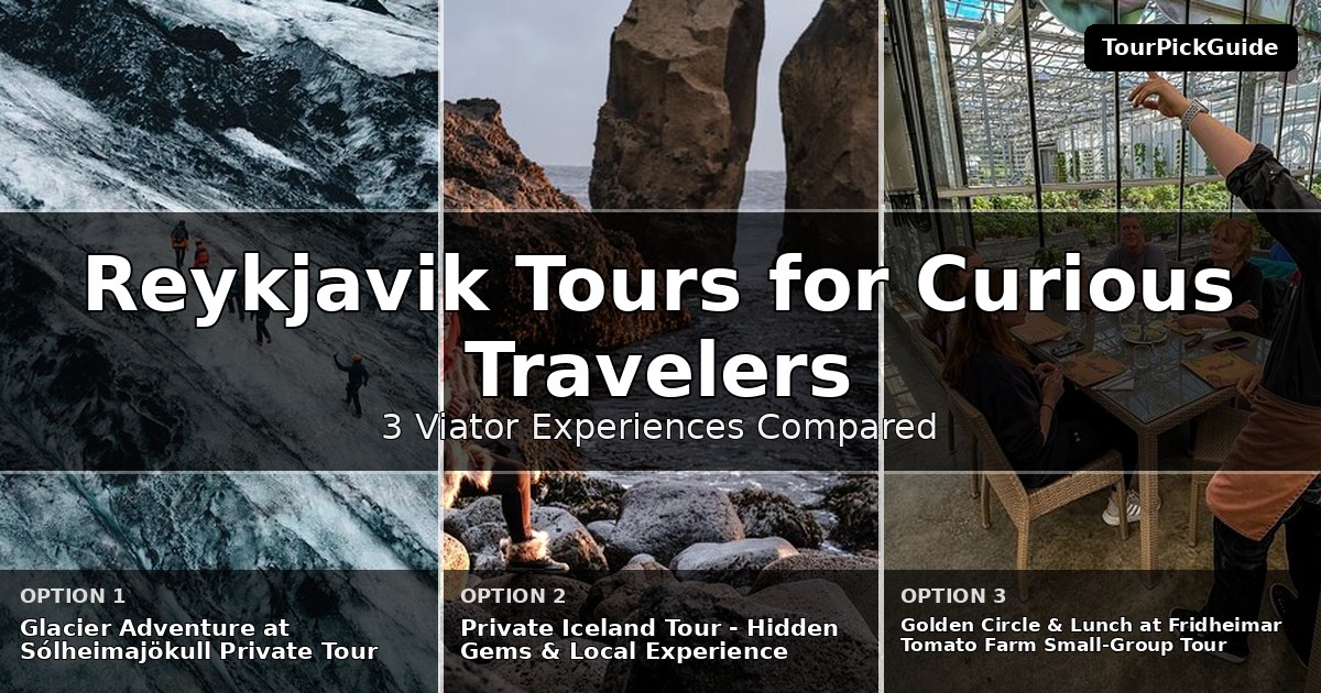 Reykjavik tours for curious travelers – three Viator experiences compared