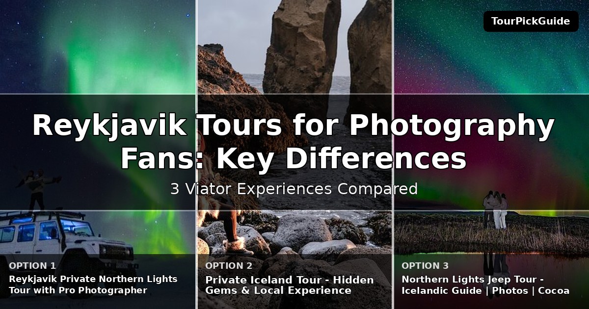 Reykjavik tours for photography fans – three Viator experiences compared