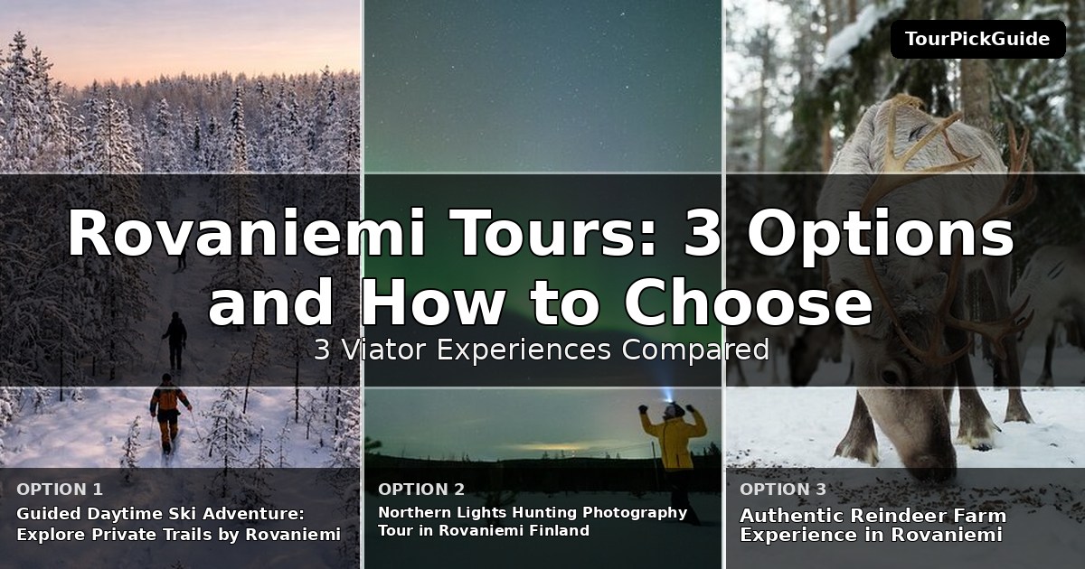 Rovaniemi tours – three Viator experiences compared