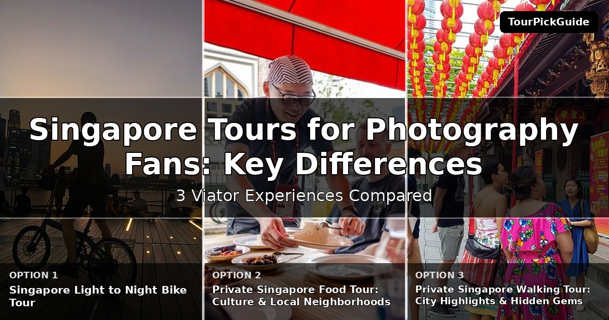 Singapore tours for photography fans – three Viator experiences compared