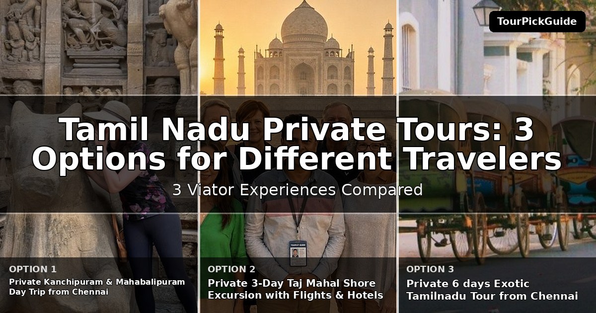 Tamil Nadu private tours – three Viator experiences compared