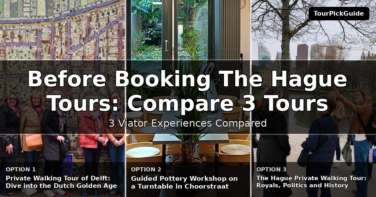 The Hague tours – three Viator experiences compared