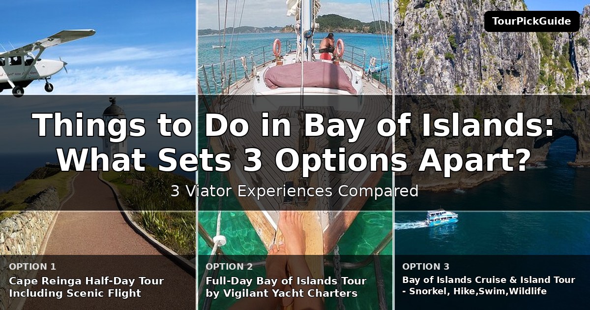 things to do in Bay of Islands – three Viator experiences compared