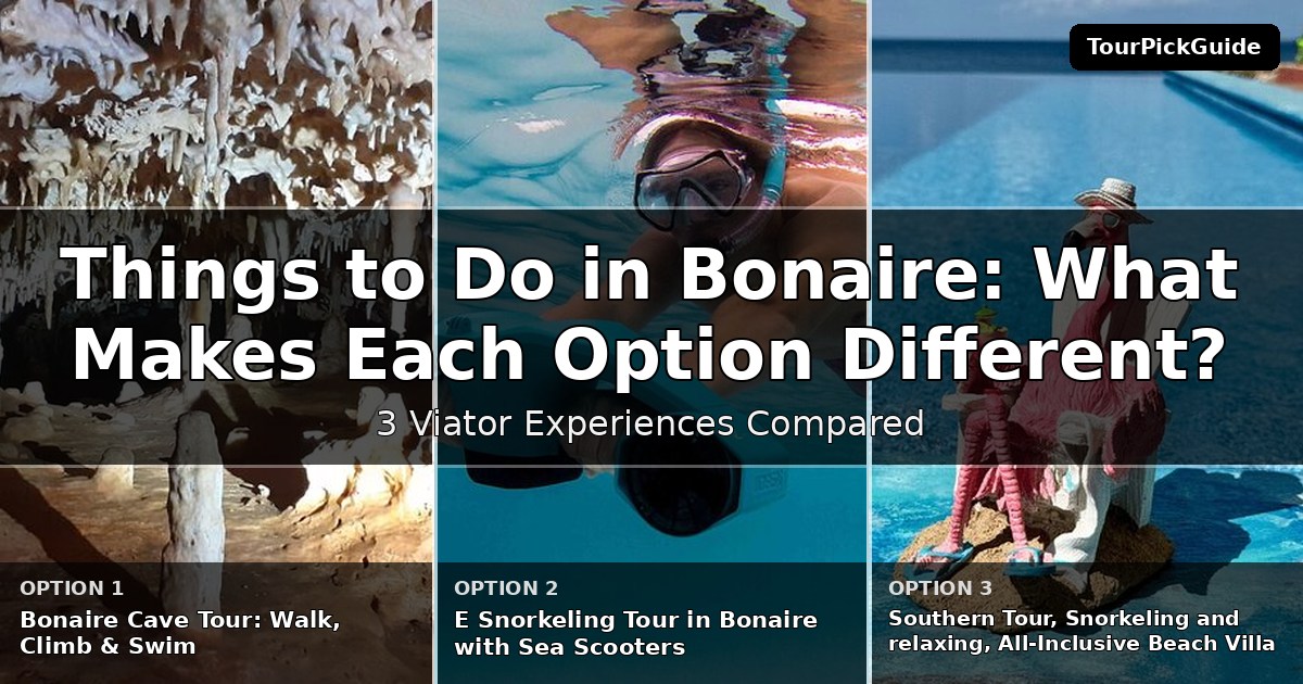 things to do in Bonaire – three Viator experiences compared
