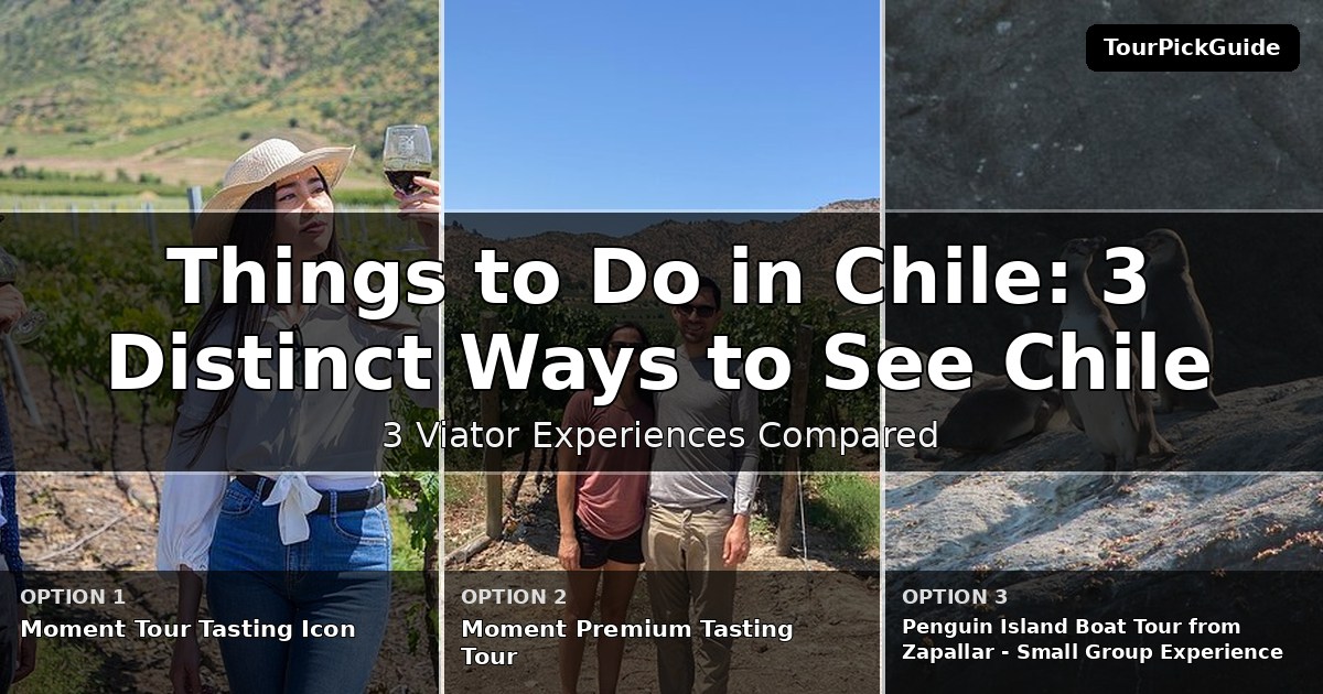 things to do in Chile – three Viator experiences compared