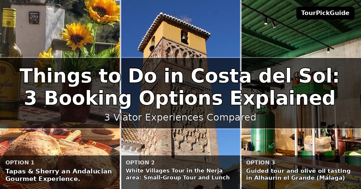 things to do in Costa del Sol – three Viator experiences compared
