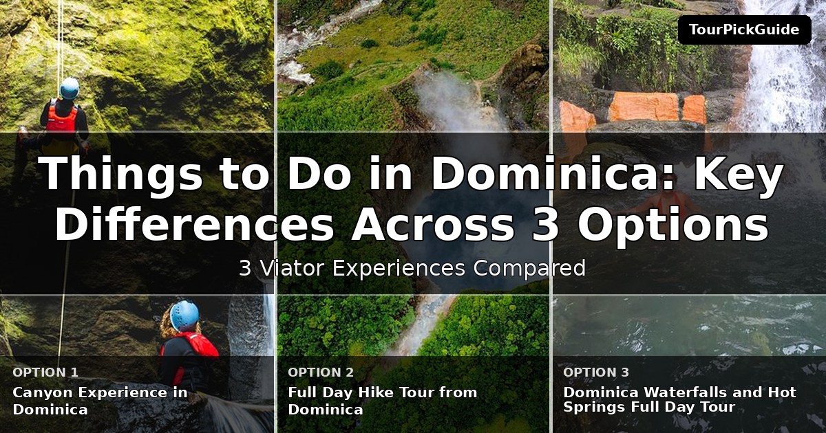 things to do in Dominica – three Viator experiences compared