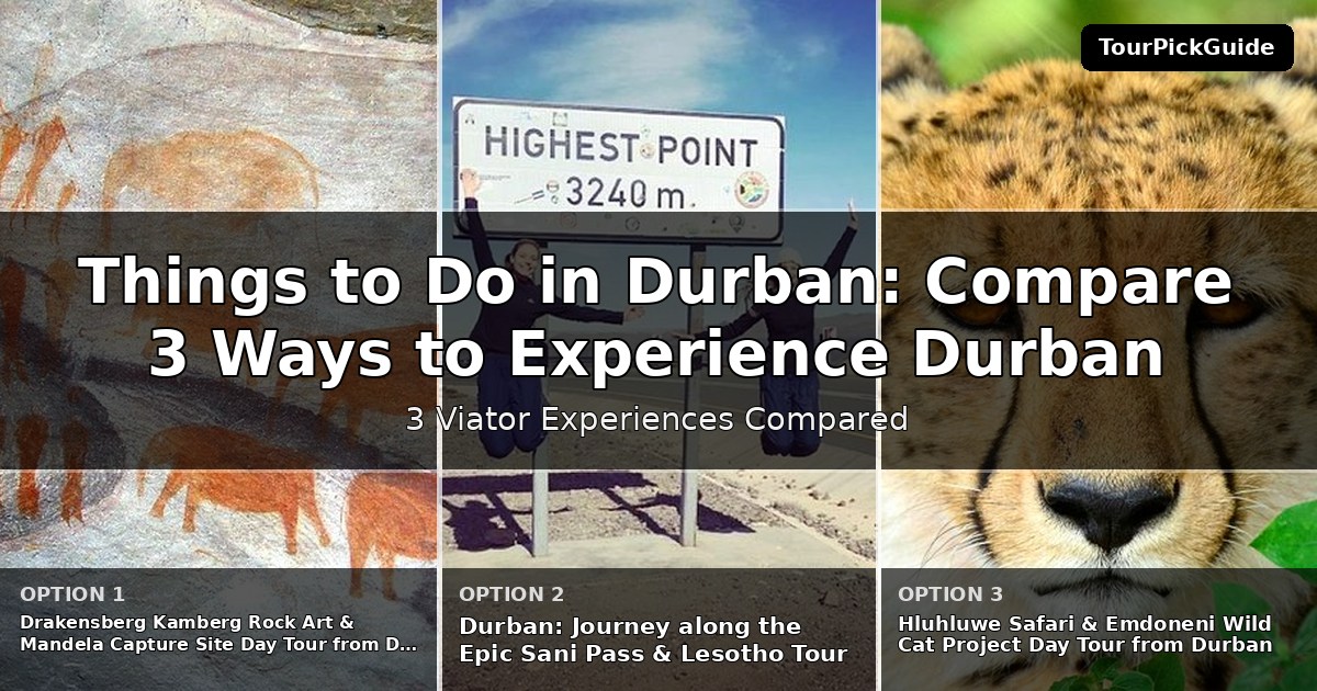 things to do in Durban – three Viator experiences compared