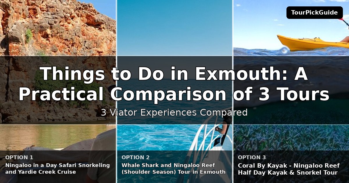 things to do in Exmouth – three Viator experiences compared
