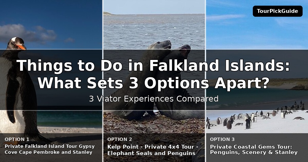 things to do in Falkland Islands – three Viator experiences compared