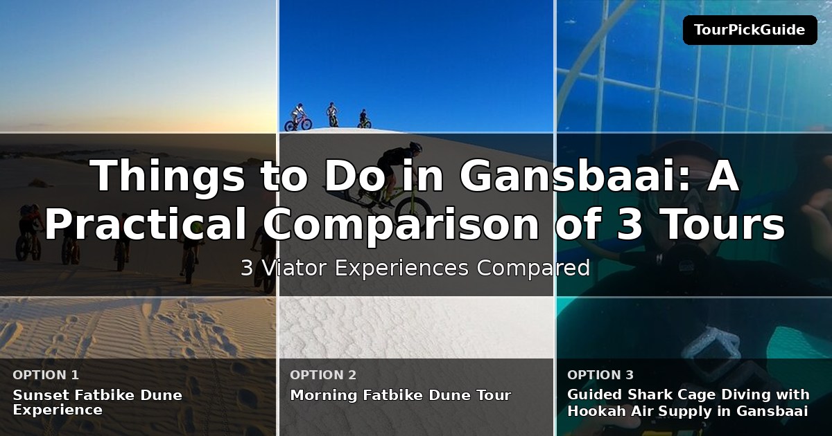things to do in Gansbaai – three Viator experiences compared