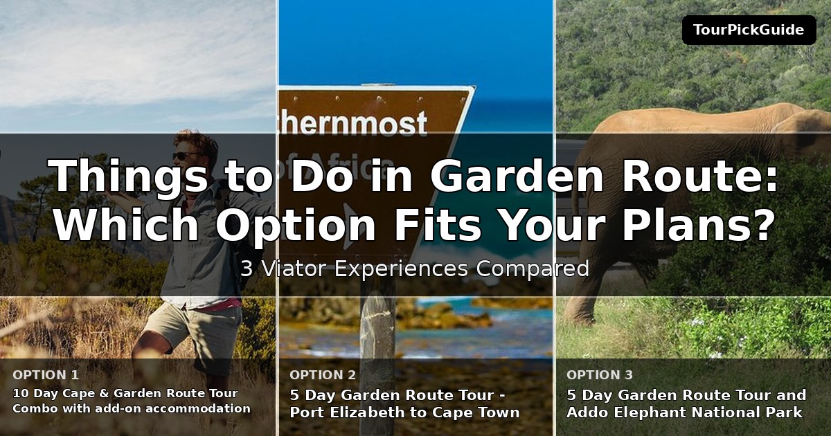 things to do in Garden Route – three Viator experiences compared