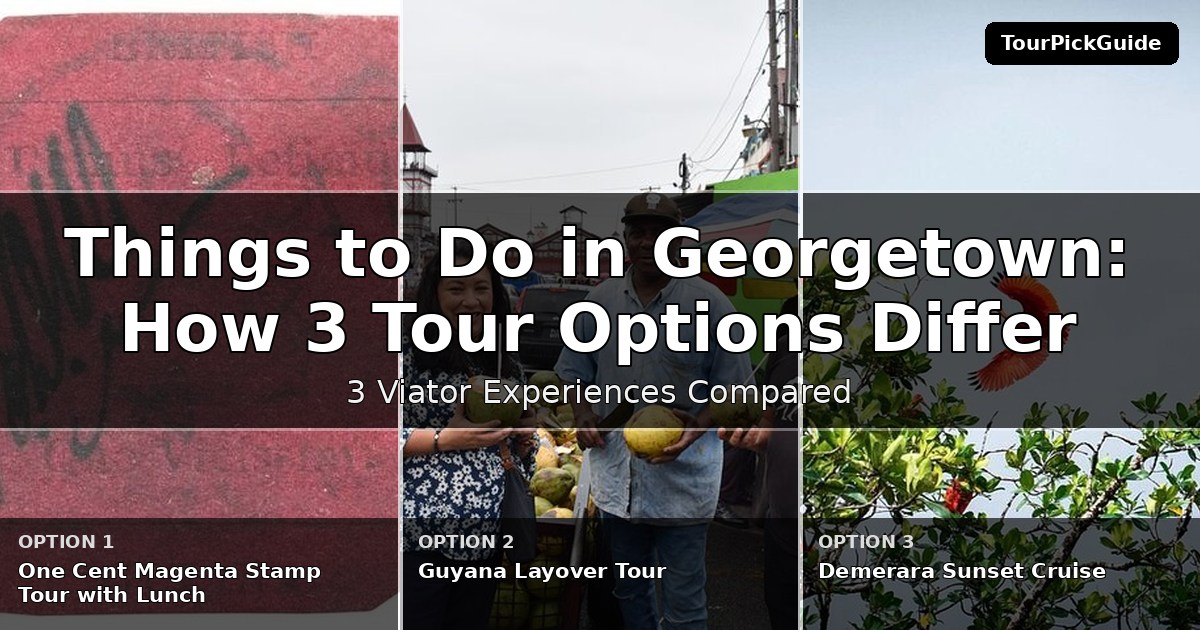 things to do in Georgetown – three Viator experiences compared