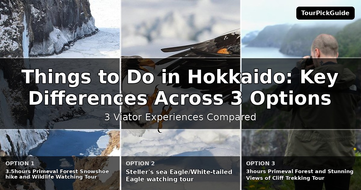 things to do in Hokkaido – three Viator experiences compared