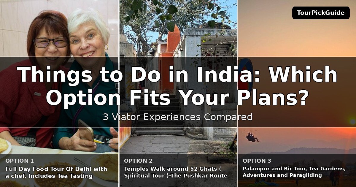 things to do in India – three Viator experiences compared
