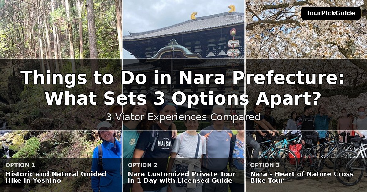things to do in Nara Prefecture – three Viator experiences compared