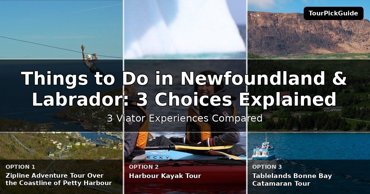 things to do in Newfoundland & Labrador – three Viator experiences compared