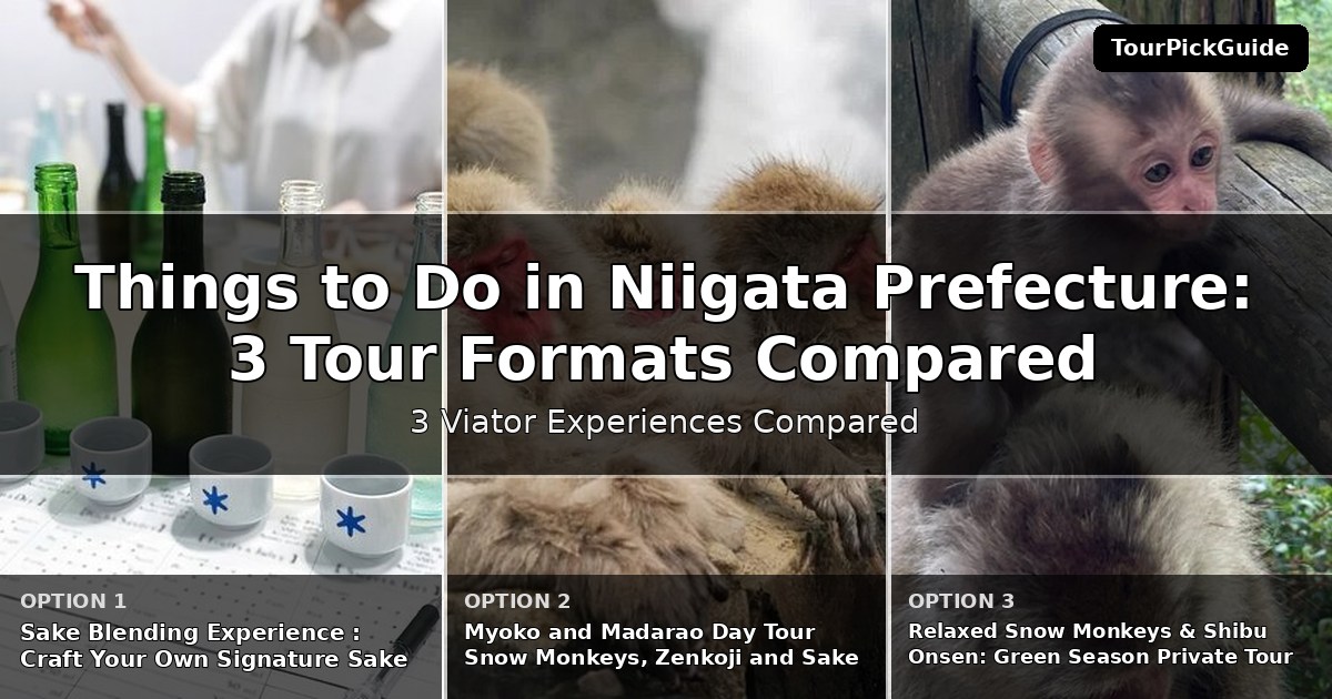 things to do in Niigata Prefecture – three Viator experiences compared