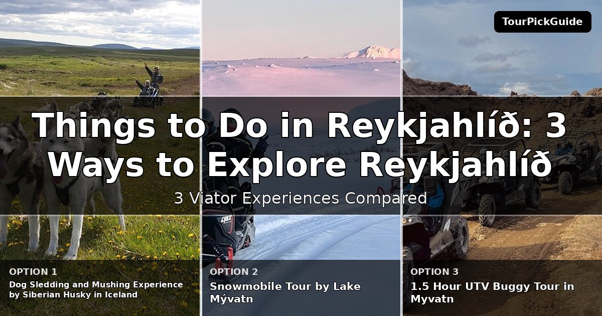 things to do in Reykjahlíð – three Viator experiences compared