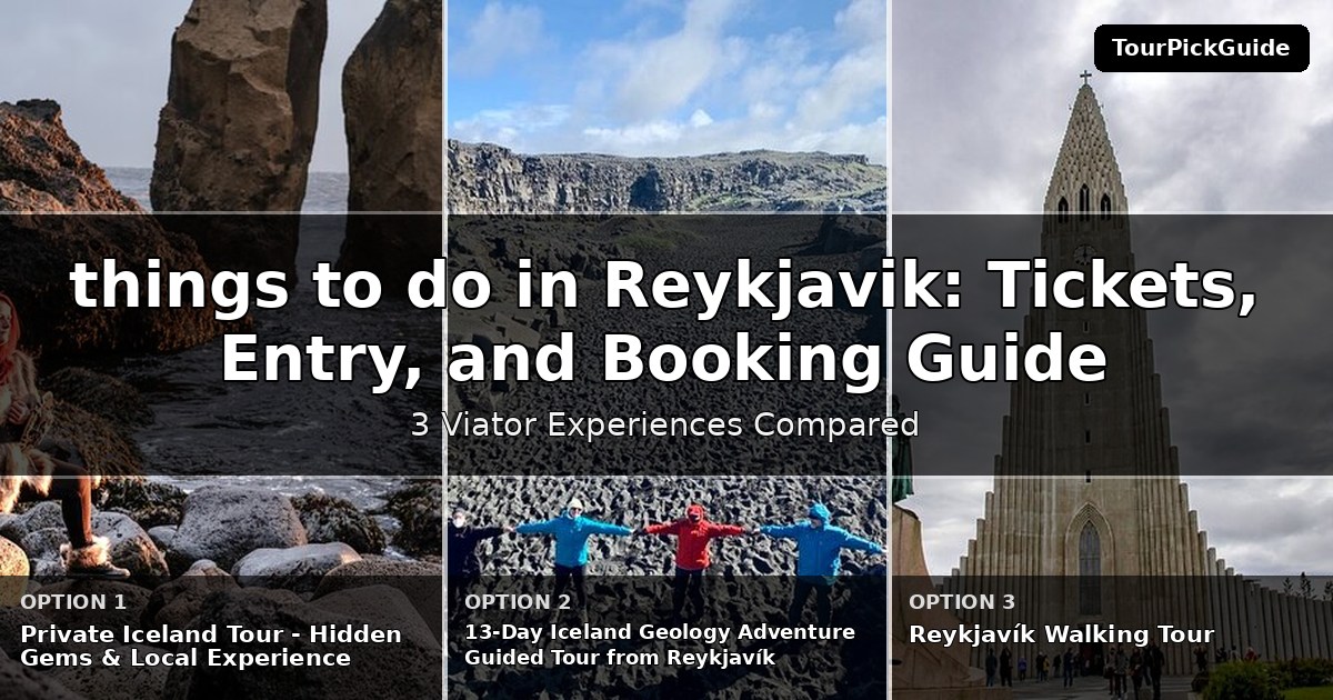 things to do in Reykjavik – three Viator experiences compared
