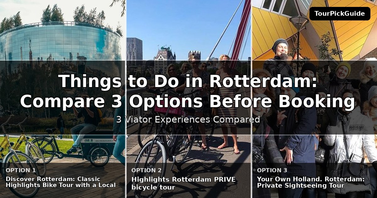 things to do in Rotterdam – three Viator experiences compared