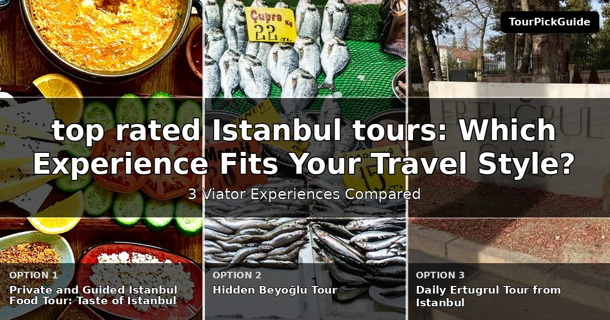 top rated Istanbul tours – three Viator experiences compared