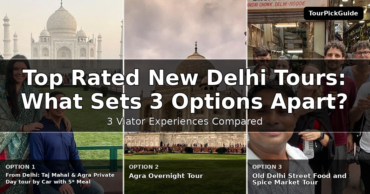 top rated New Delhi tours – three Viator experiences compared