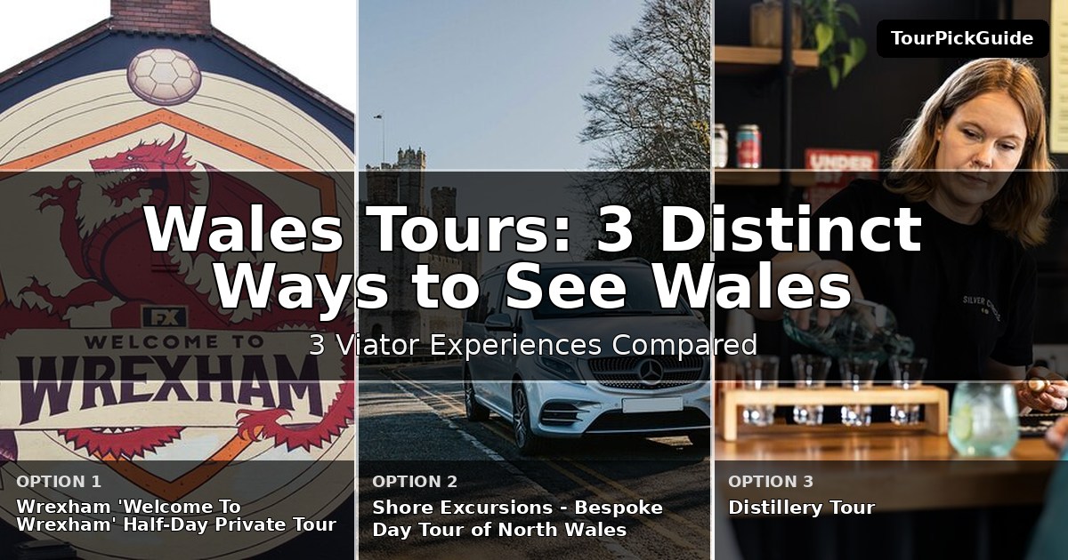 Wales tours – three Viator experiences compared