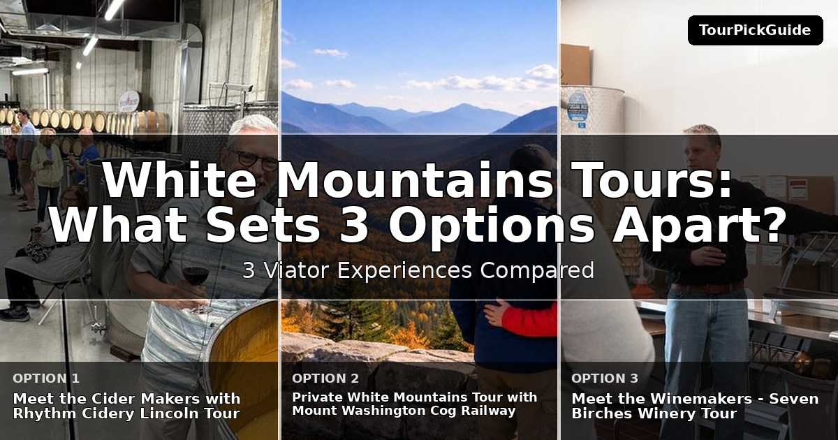 White Mountains tours – three Viator experiences compared