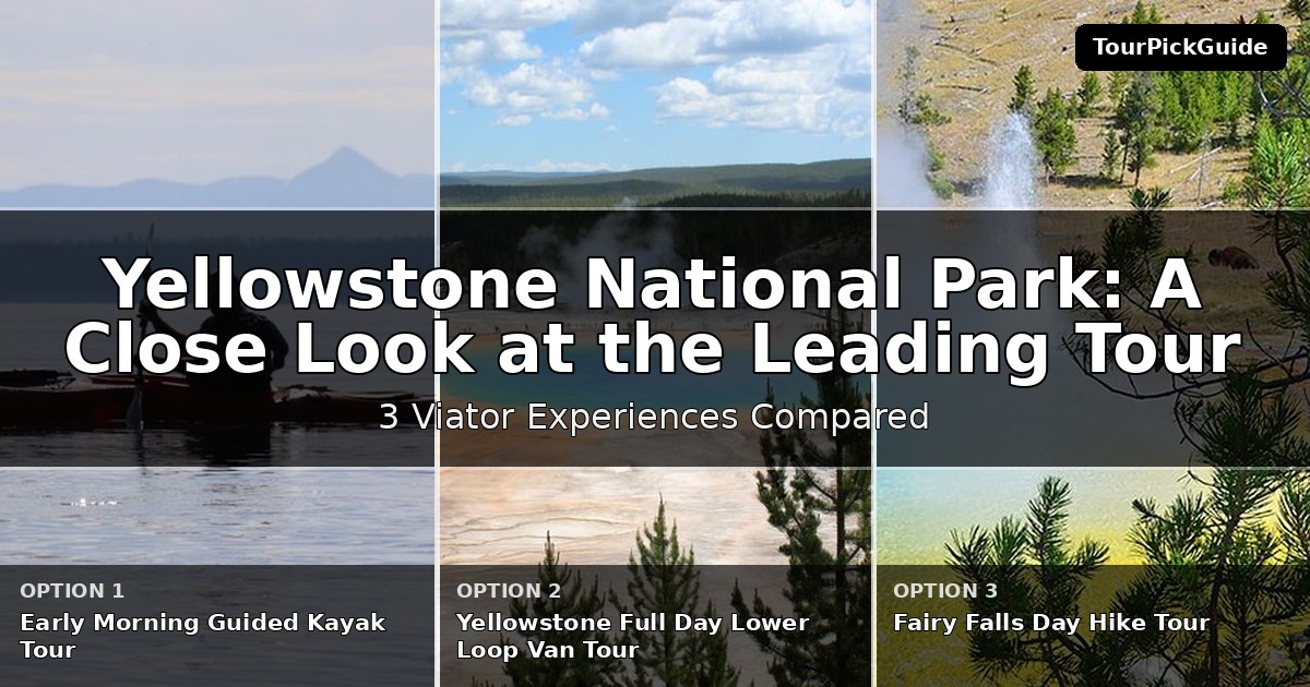 Yellowstone National Park experiences beyond the highlights – three Viator experiences compared