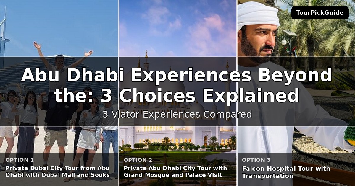 Abu Dhabi experiences beyond the highlights – three Viator experiences compared