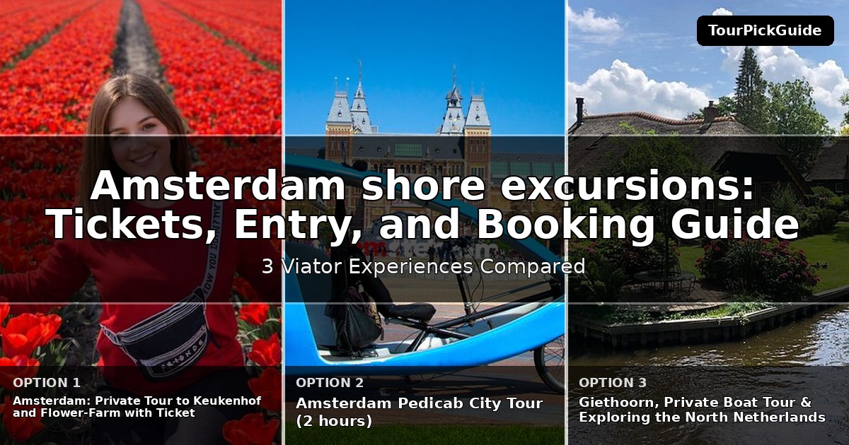 Amsterdam shore excursions – three Viator experiences compared