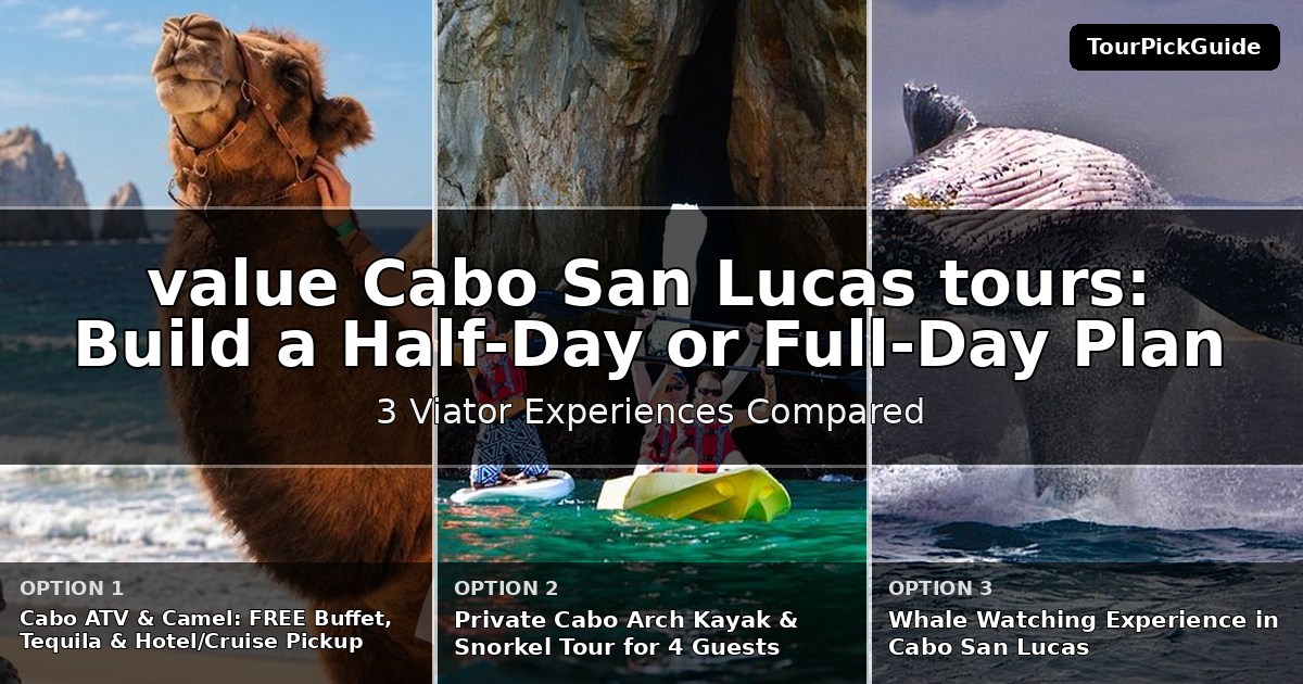 best value Cabo San Lucas tours – three Viator experiences compared