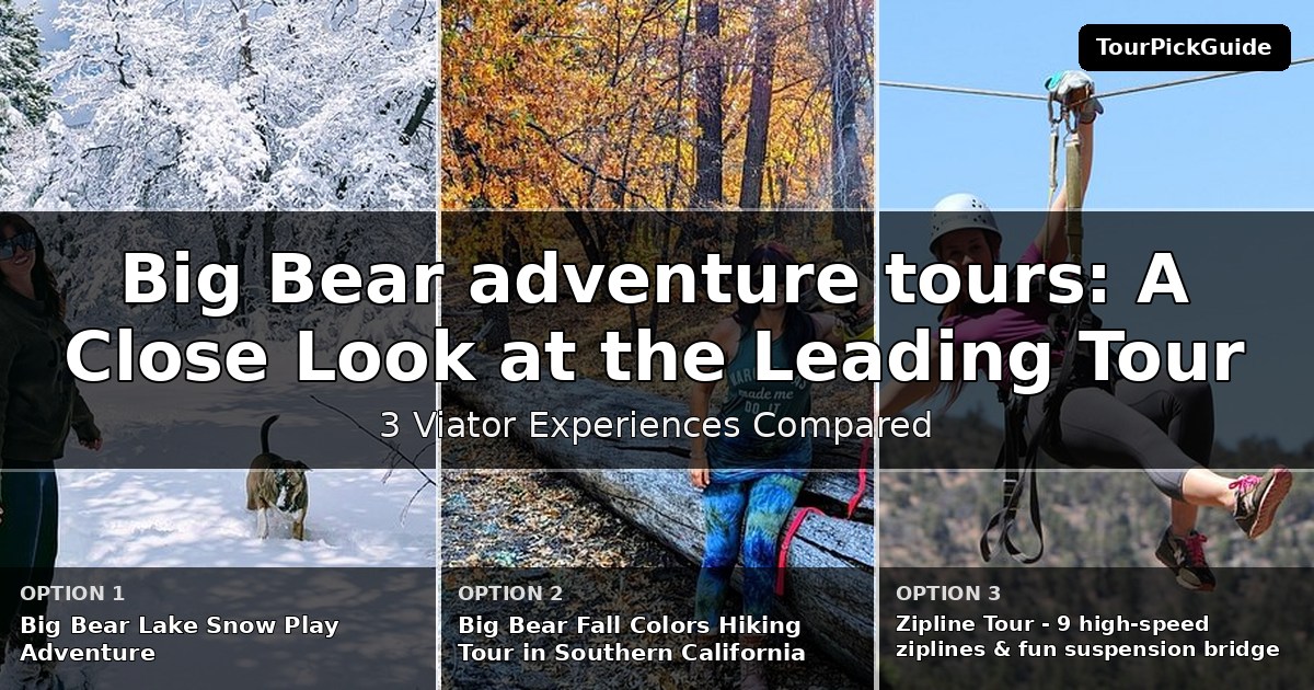 Big Bear adventure tours – three Viator experiences compared