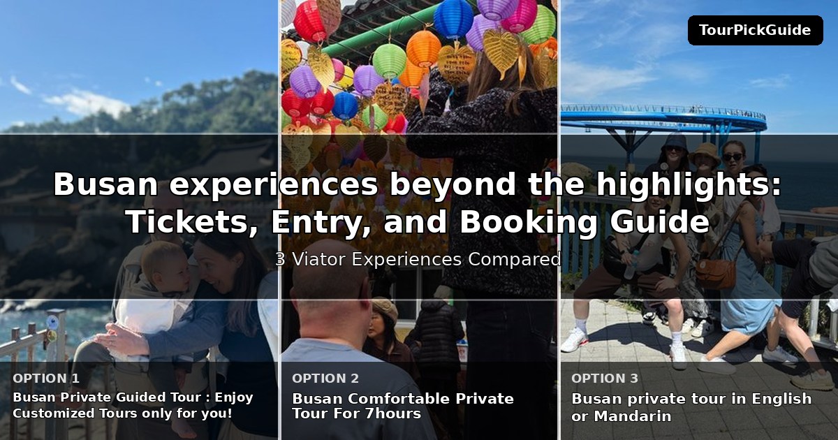 Busan experiences beyond the highlights – three Viator experiences compared
