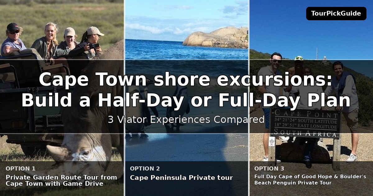 Cape Town shore excursions – three Viator experiences compared