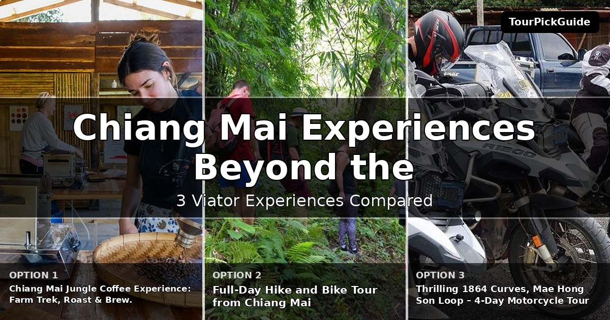 Chiang Mai experiences beyond the highlights – three Viator experiences compared