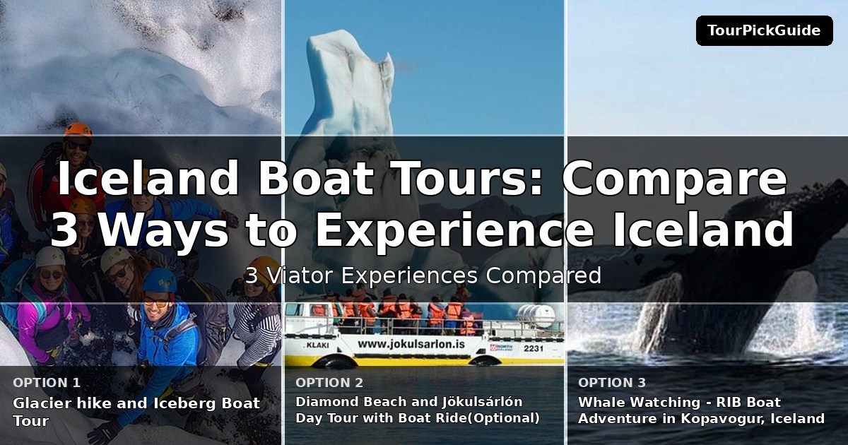 Iceland boat tours – three Viator experiences compared