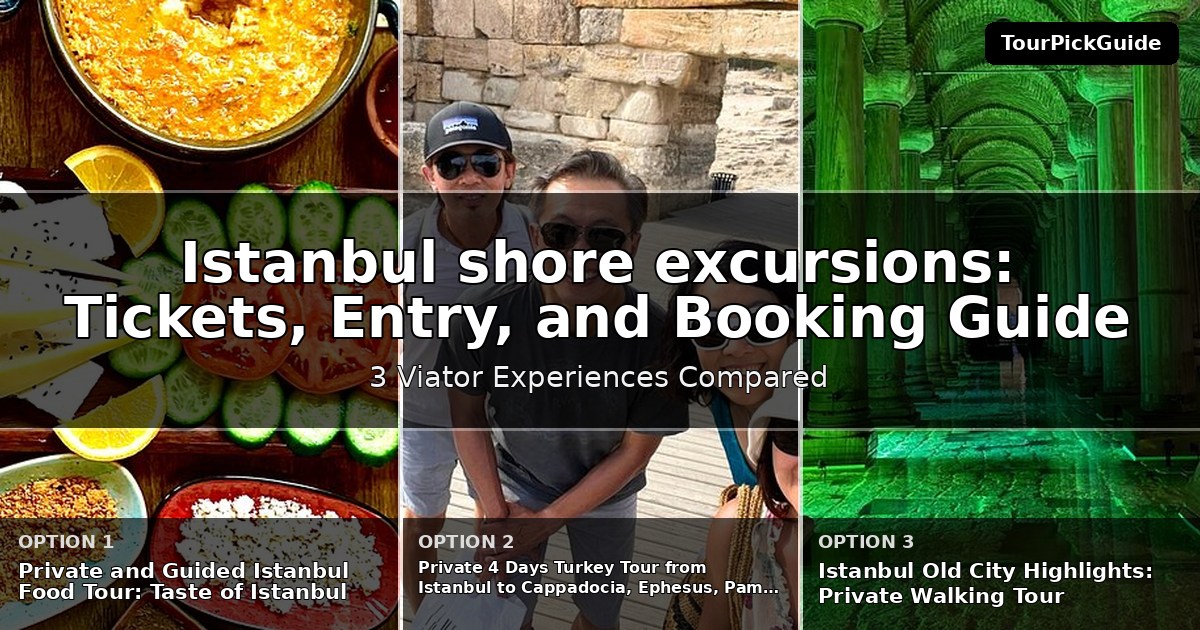 Istanbul shore excursions – three Viator experiences compared