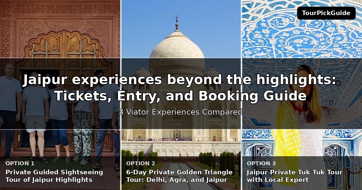 Jaipur experiences beyond the highlights – three Viator experiences compared