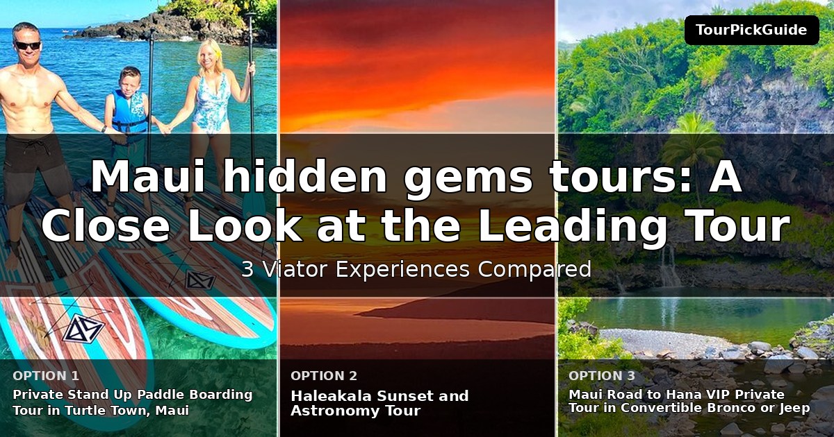 Maui hidden gems tours – three Viator experiences compared