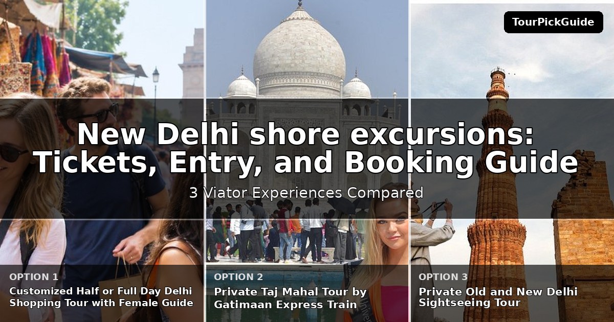 New Delhi shore excursions – three Viator experiences compared