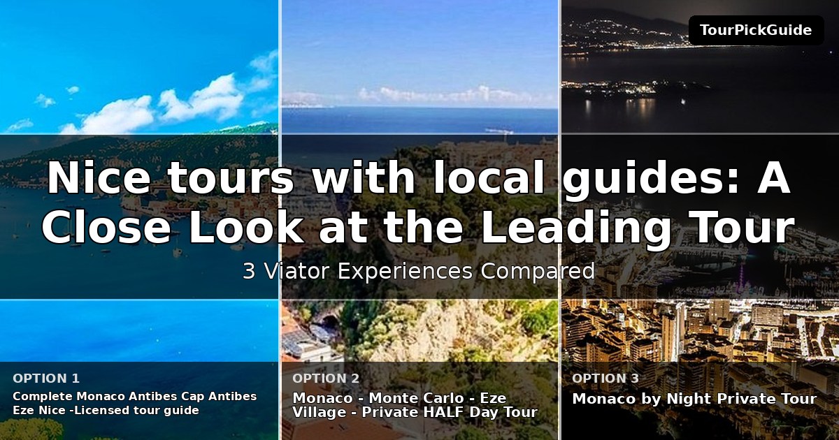 Nice tours with local guides – three Viator experiences compared