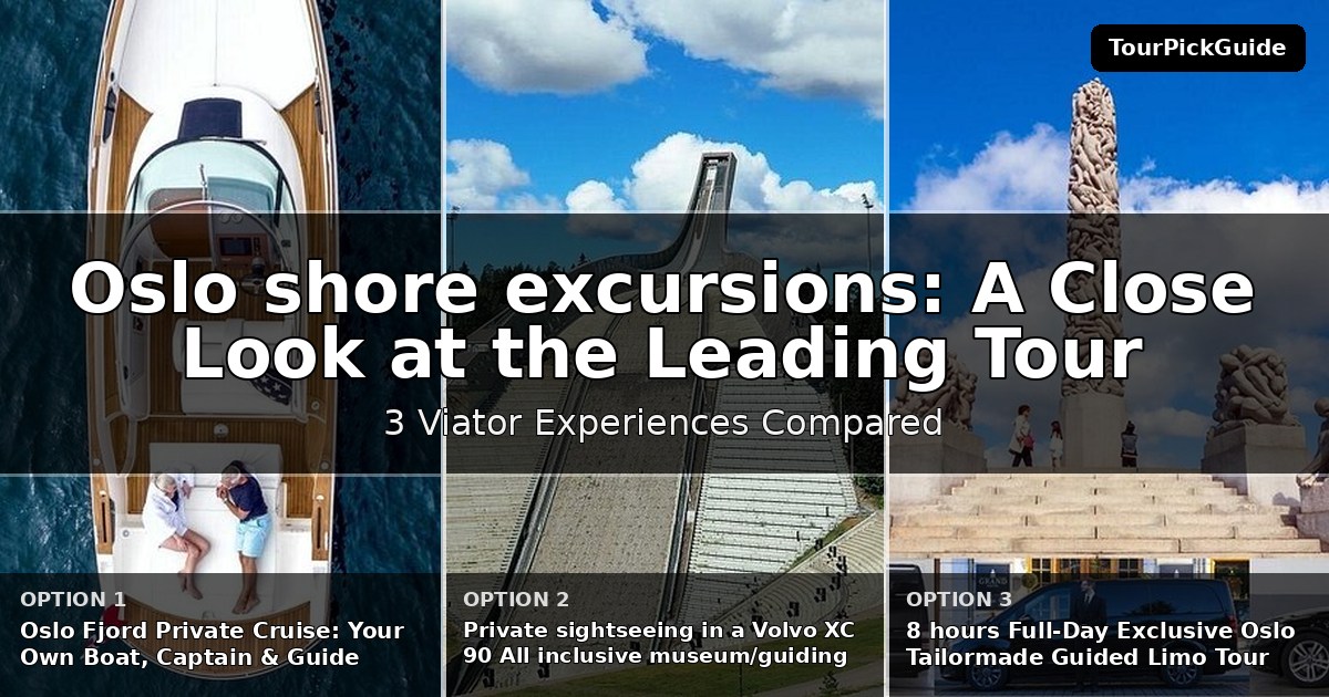 Oslo shore excursions – three Viator experiences compared