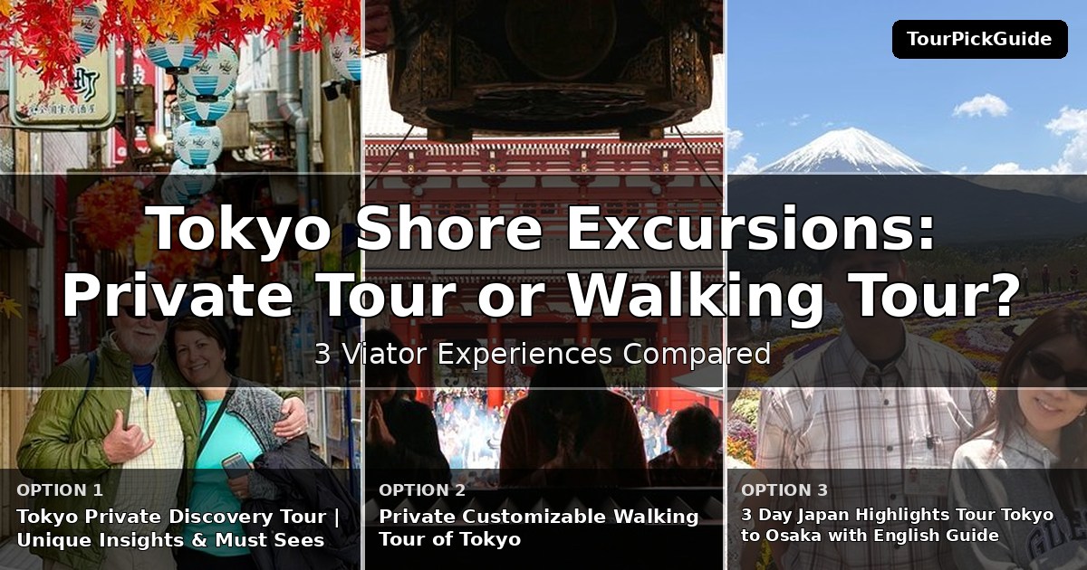 Tokyo shore excursions – three Viator experiences compared