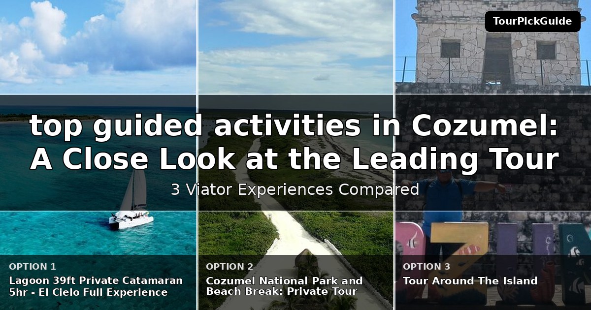 top guided activities in Cozumel – three Viator experiences compared