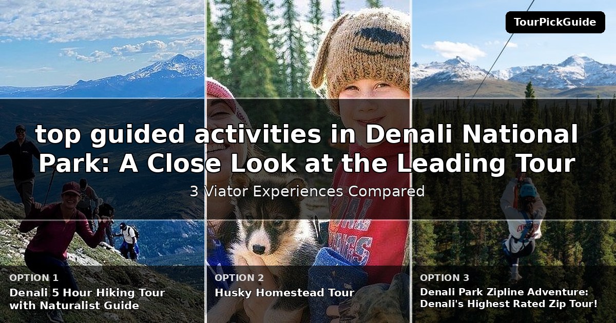 top guided activities in Denali National Park – three Viator experiences compared