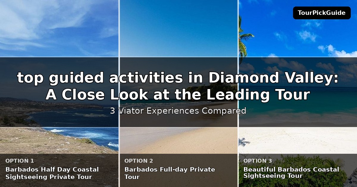 top guided activities in Diamond Valley – three Viator experiences compared