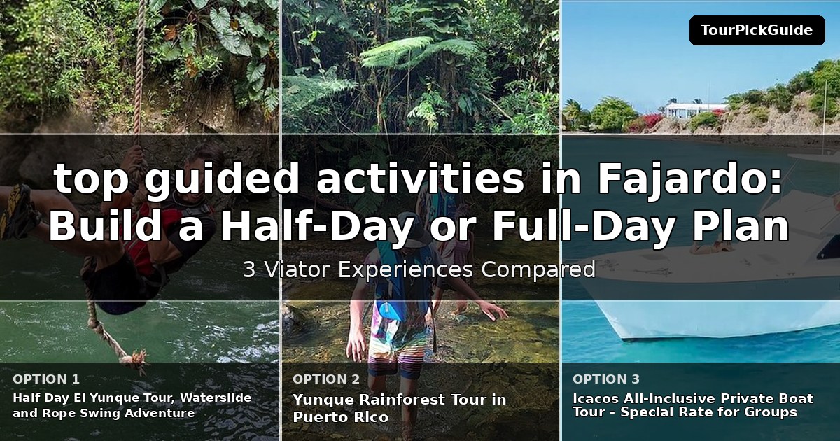 top guided activities in Fajardo – three Viator experiences compared